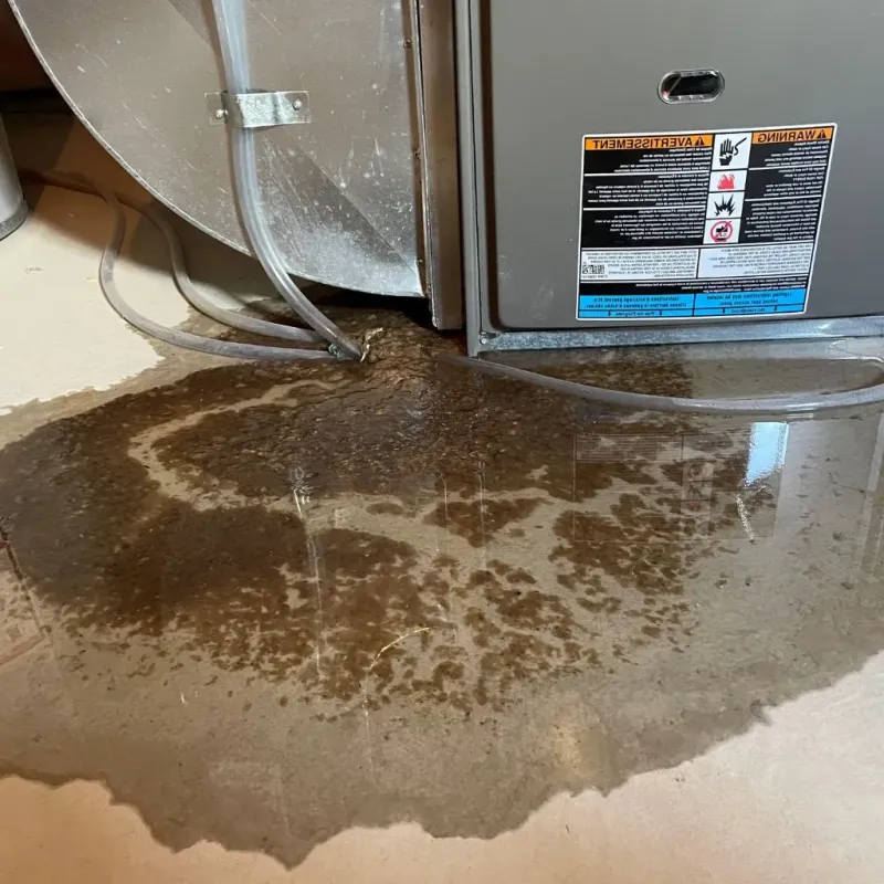 Pipe Burst and Leak Restoration in Augusta, KY
